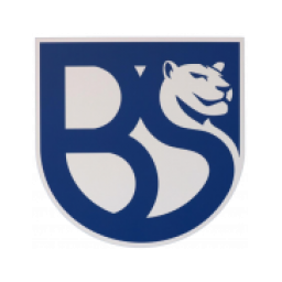 阿济纳诺基安波